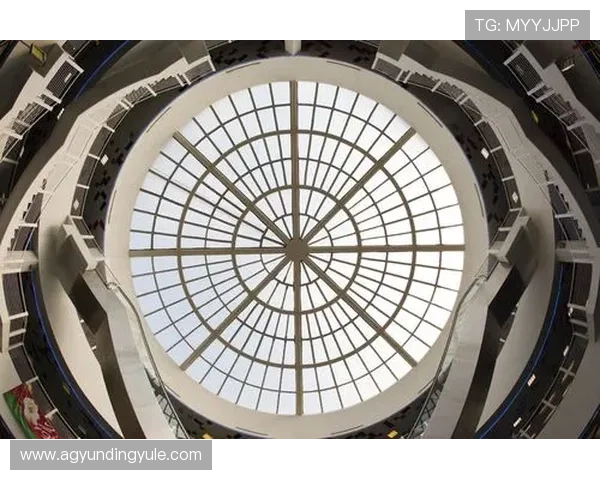 新云顶国际集团(澳门)有限公司:打造澳门多元化娱乐产业的核心力量